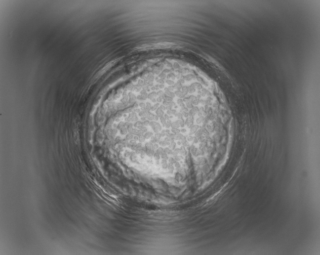 X0000055210921200508301318.png