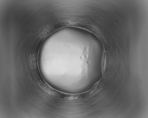 X0000055210366200508301328.png