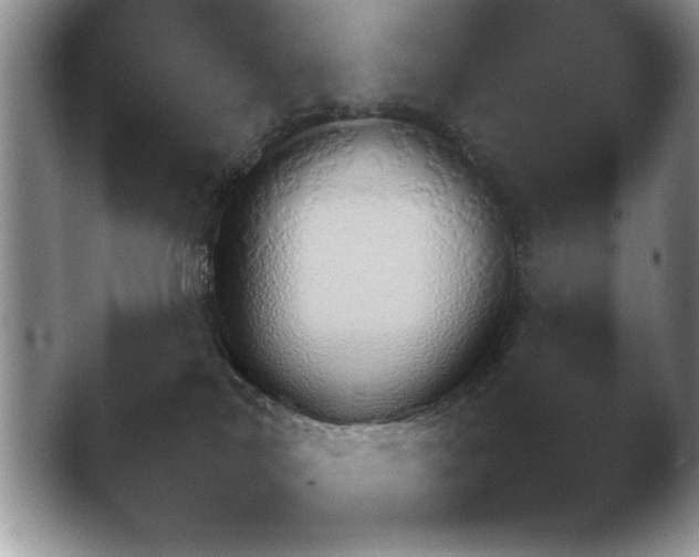 X0000041230038200411182055.png