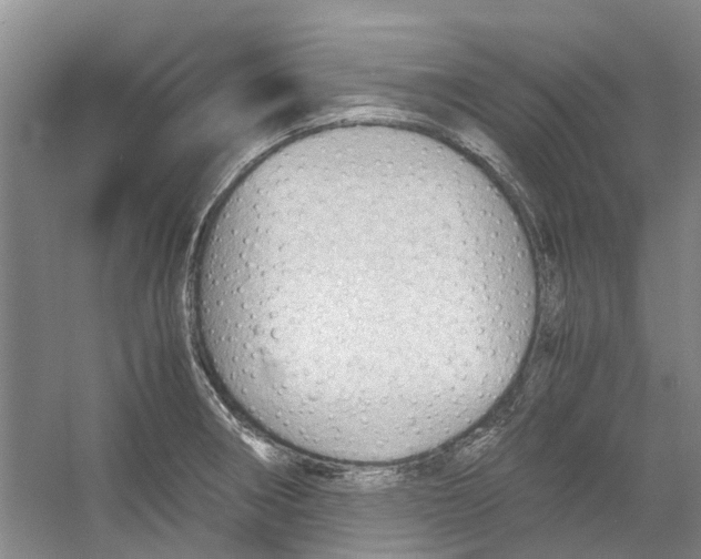 X0000054271282200508261906.png