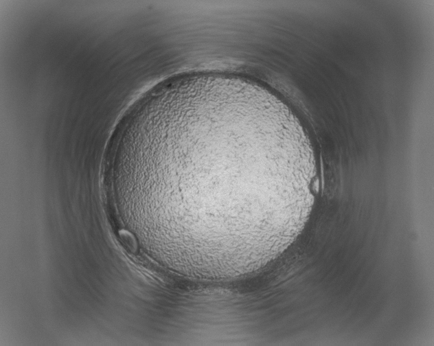 X0000055210483200508301326.png