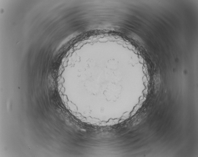 X0000054581064200508300055.png