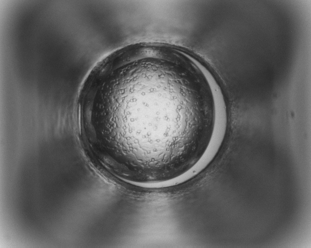 X0000043781123200412291318.png