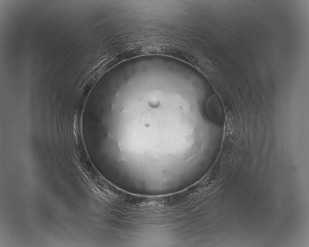 X0000055210648200508301323.png
