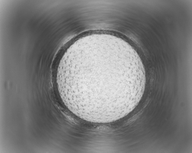 X0000054270974200508261911.png