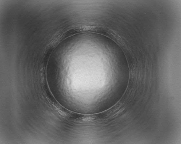 X0000055210462200508301326.png