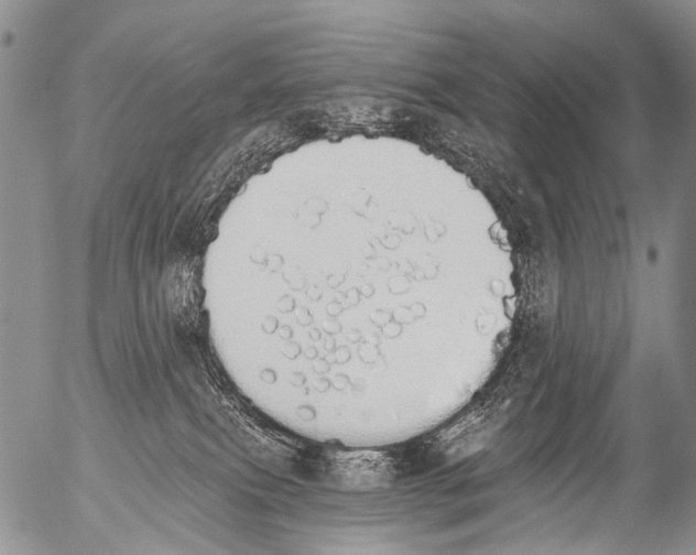 X0000054580087200508300112.png