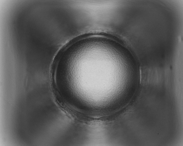 X0000041230435200411182048.png