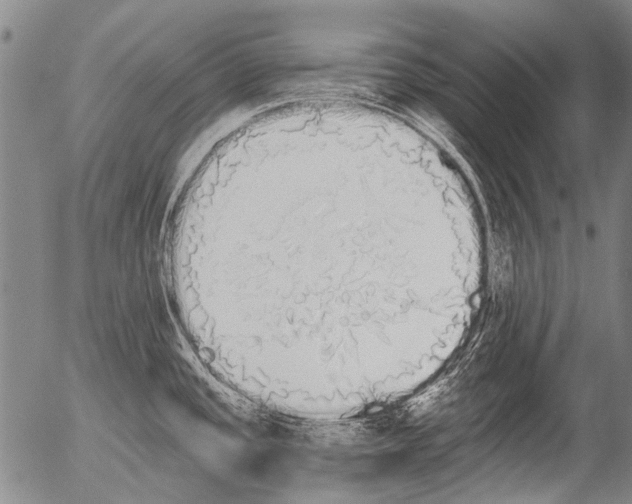 X0000054581437200508300049.png