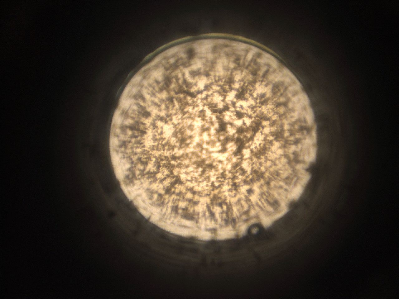 05cv_F13_ImagerDefaults_9.jpg