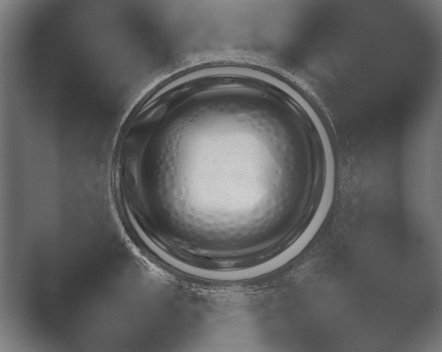 X0000051110999200507141752.png