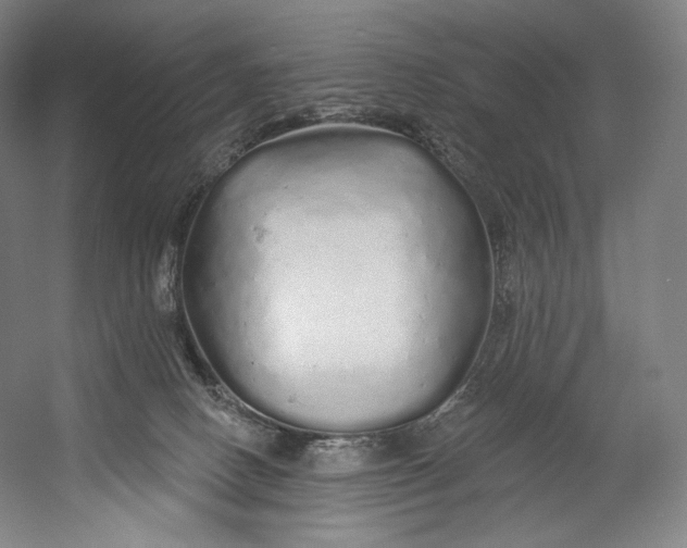 X0000055210082200508301333.png