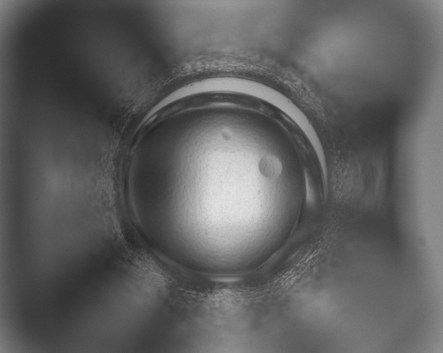 X0000052020111200507181637.png