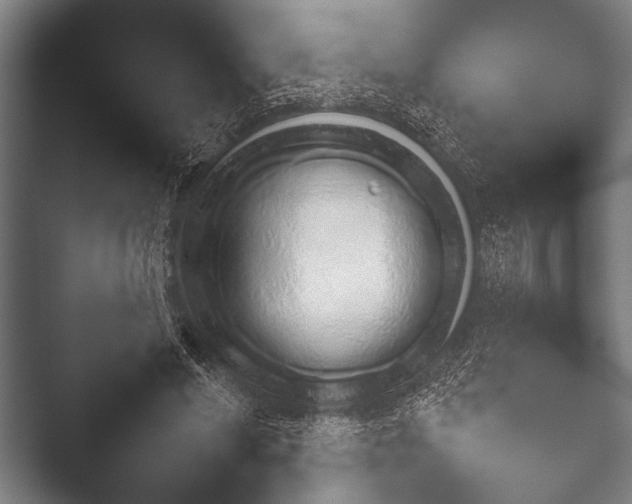 X0000052020590200507181628.png