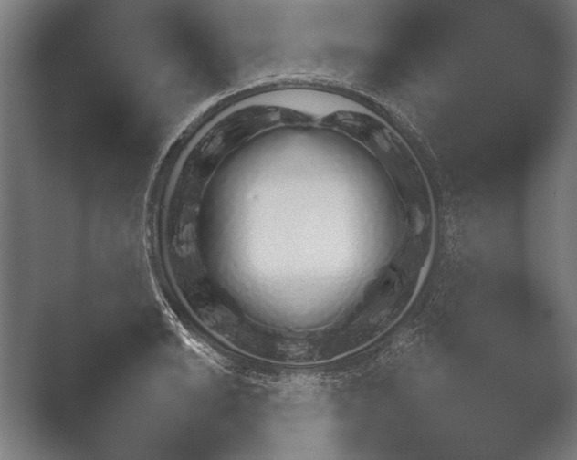 X0000051111038200507141751.png