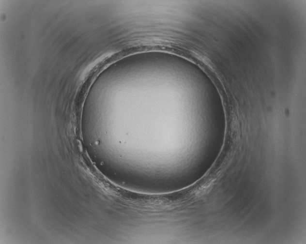 X0000054650979200508091637.png