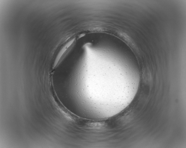 X0000054330449200508111923.png