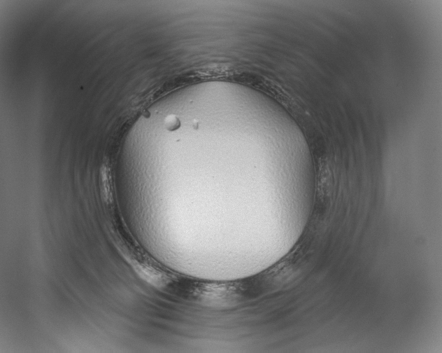 X0000055210130200508301332.png