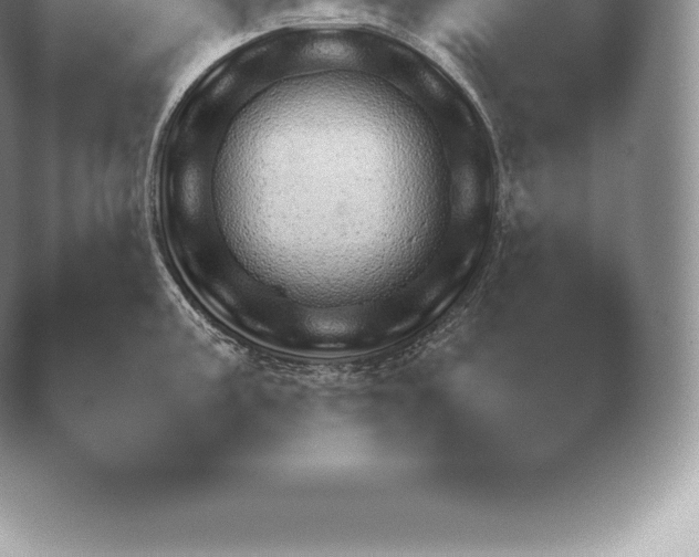X0000038921195200409290957.png
