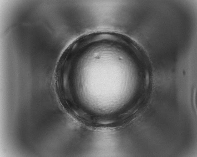 X0000042231325200411232055.png