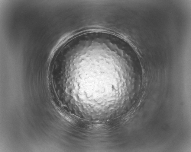 X0000055060151200508161655.png