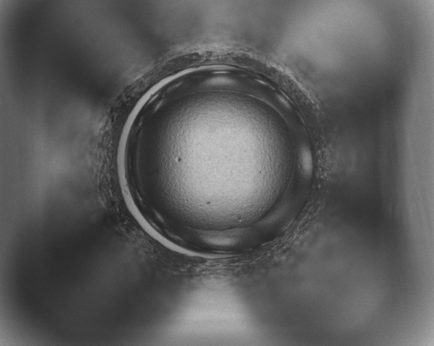 X0000045450967200502011652.png