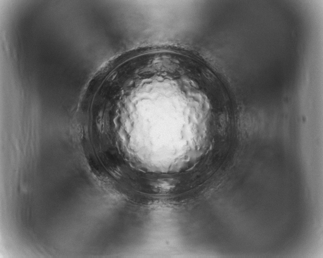 X0000043780680200412291326.png