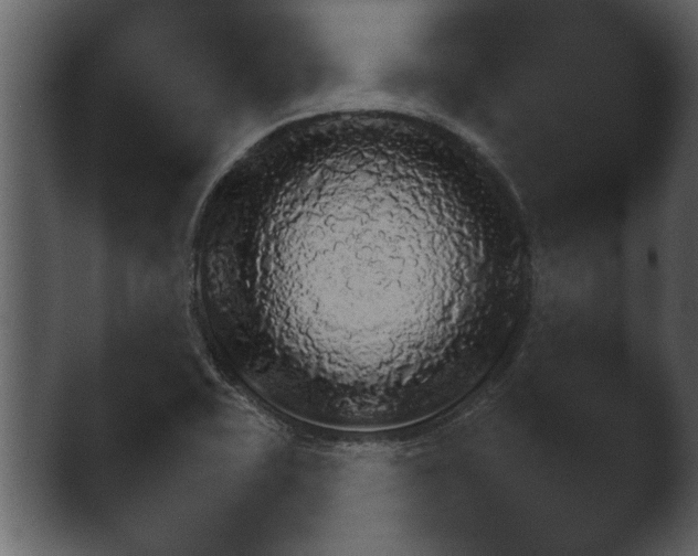 X0000043161415200411300932.png