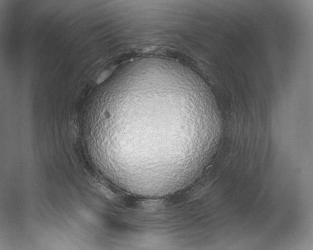 X0000055210085200508301333.png