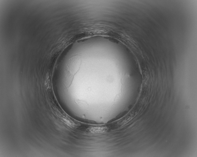 X0000055210465200508301326.png