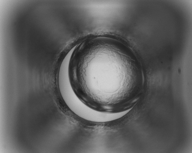 X0000041230539200411182046.png