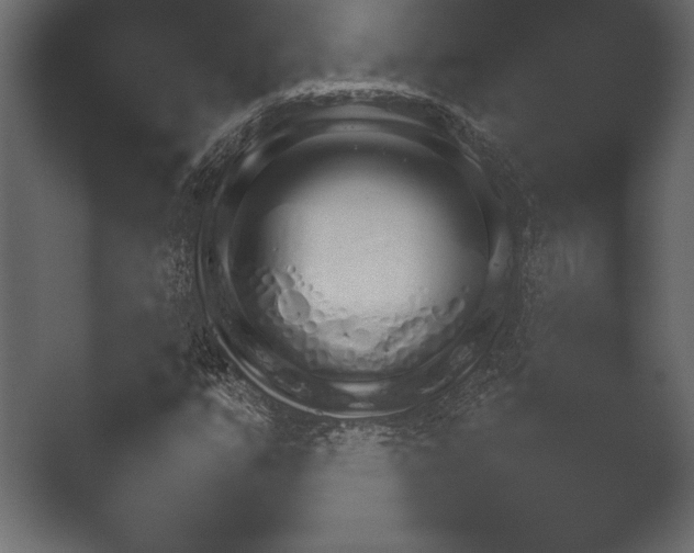 X0000052731351200507141535.png