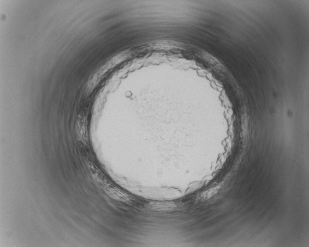 X0000054580825200508300058.png