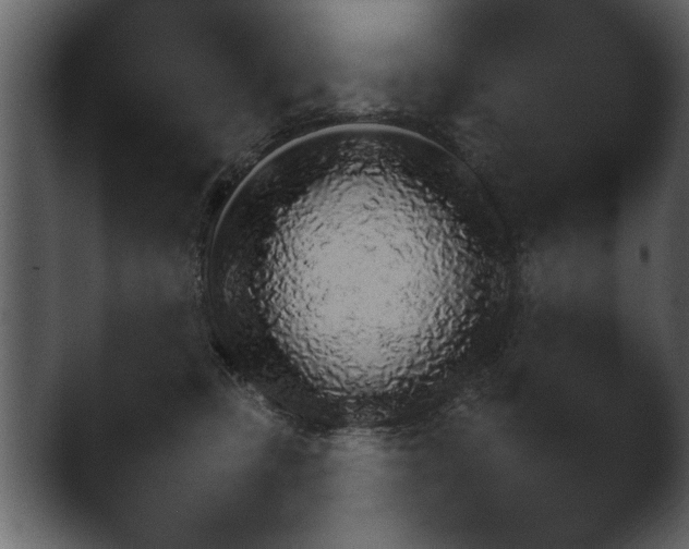 X0000043160373200411300951.png