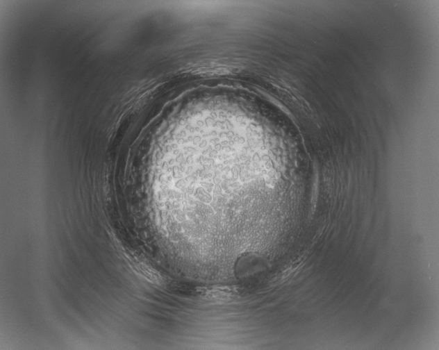 X0000055210359200508301328.png