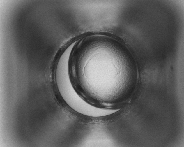 X0000041230727200411182043.png