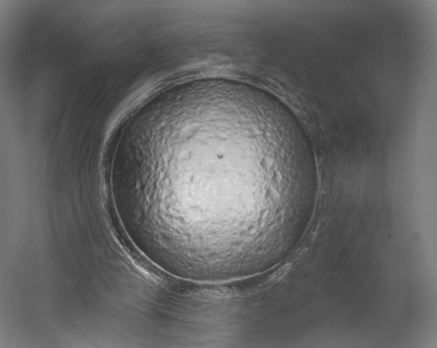 X0000055210245200508301329.png