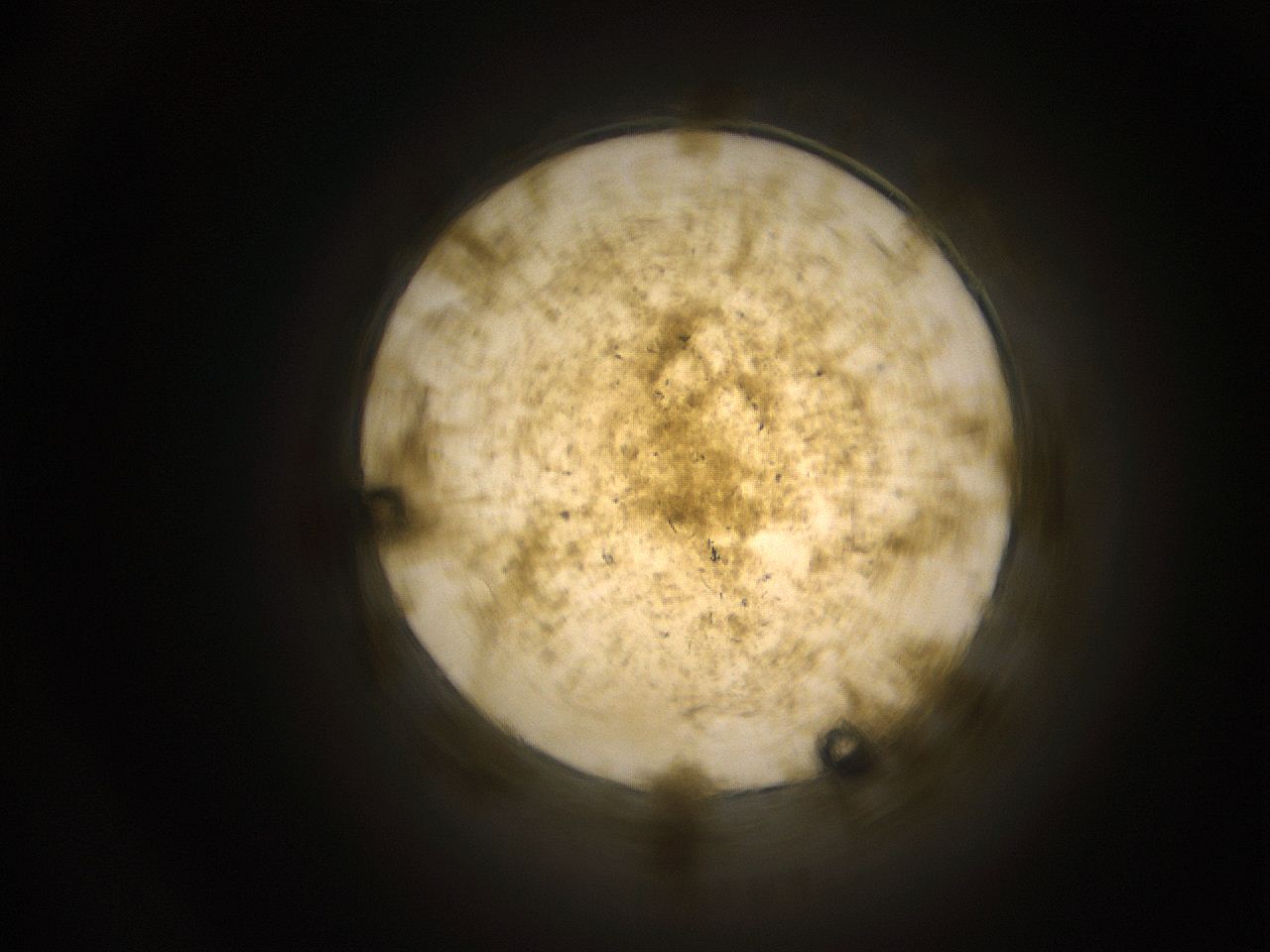 05cv_G13_ImagerDefaults_9.jpg