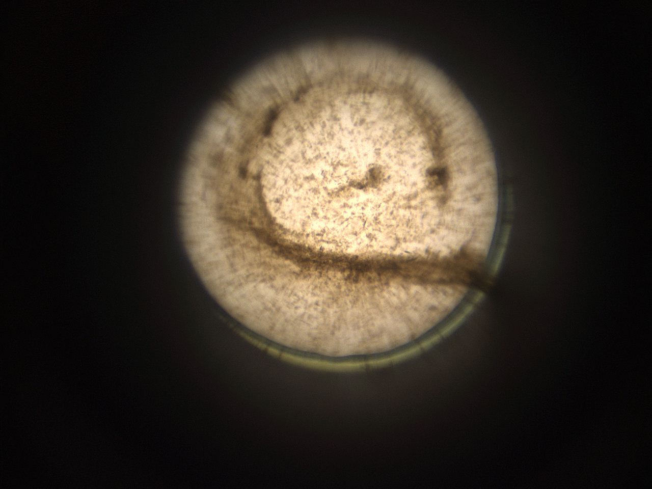 05cv_J1_ImagerDefaults_9.jpg