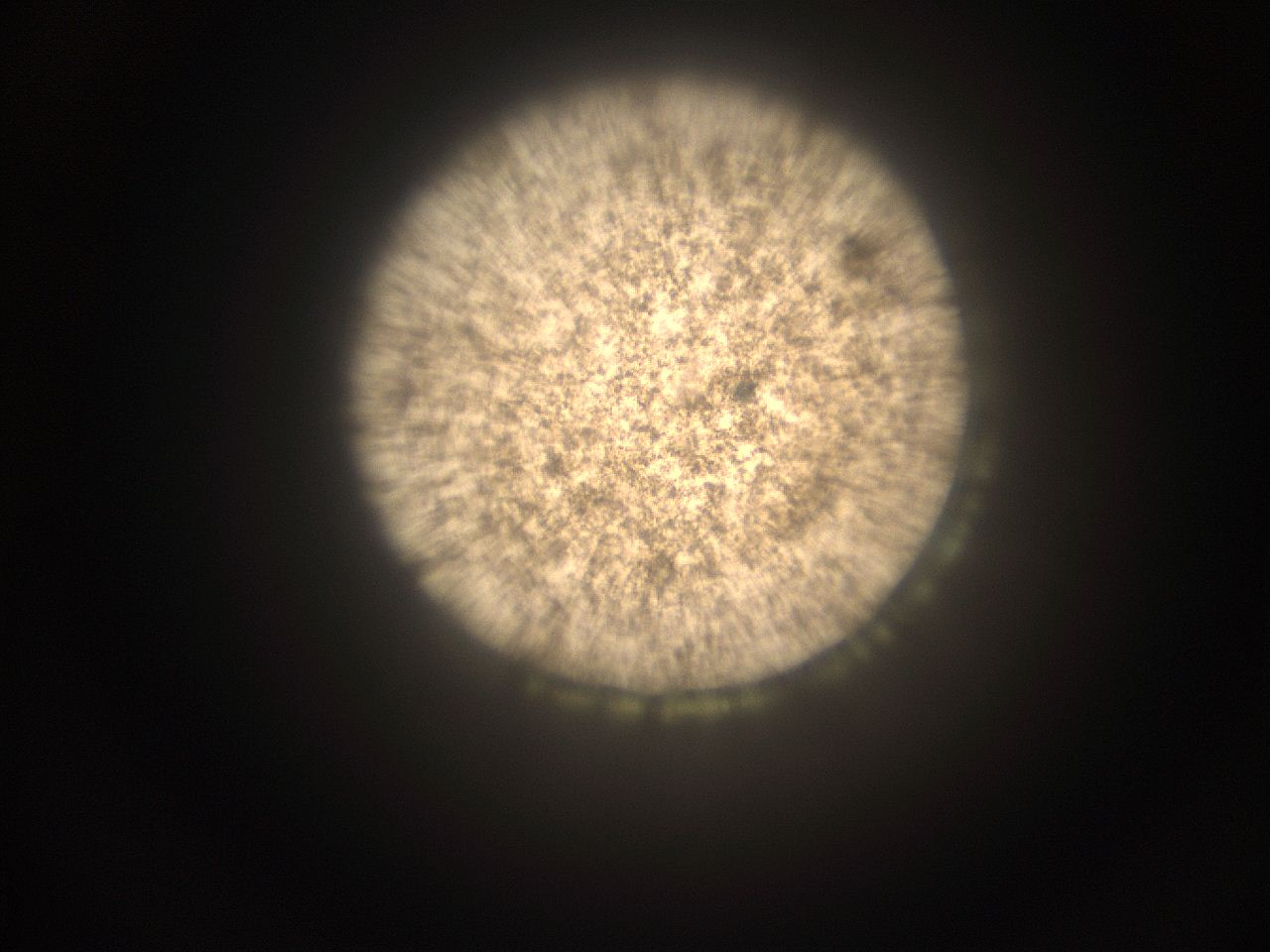 05cv_K2_ImagerDefaults_9.jpg