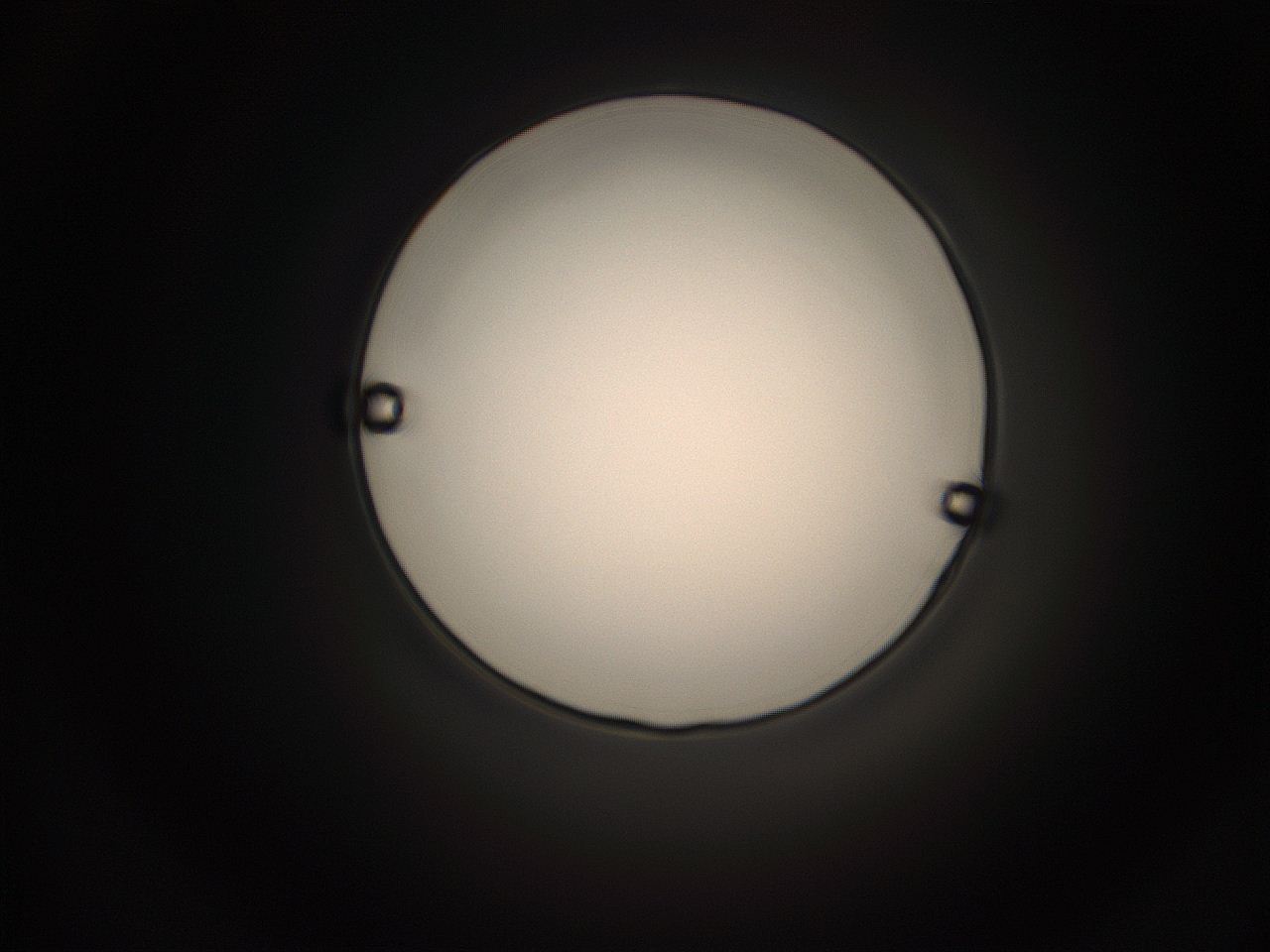 05cv_K9_ImagerDefaults_1.jpg