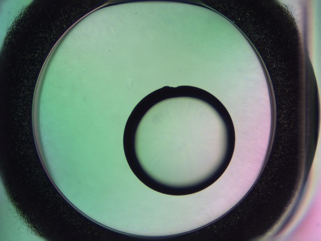 01gh_D4_ImagerDefaults_0.jpg