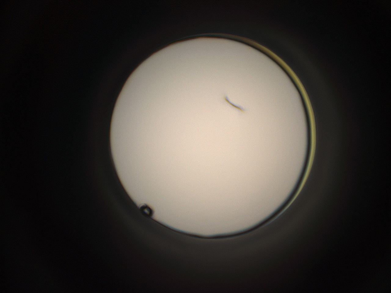 05cv_O20_ImagerDefaults_1.jpg