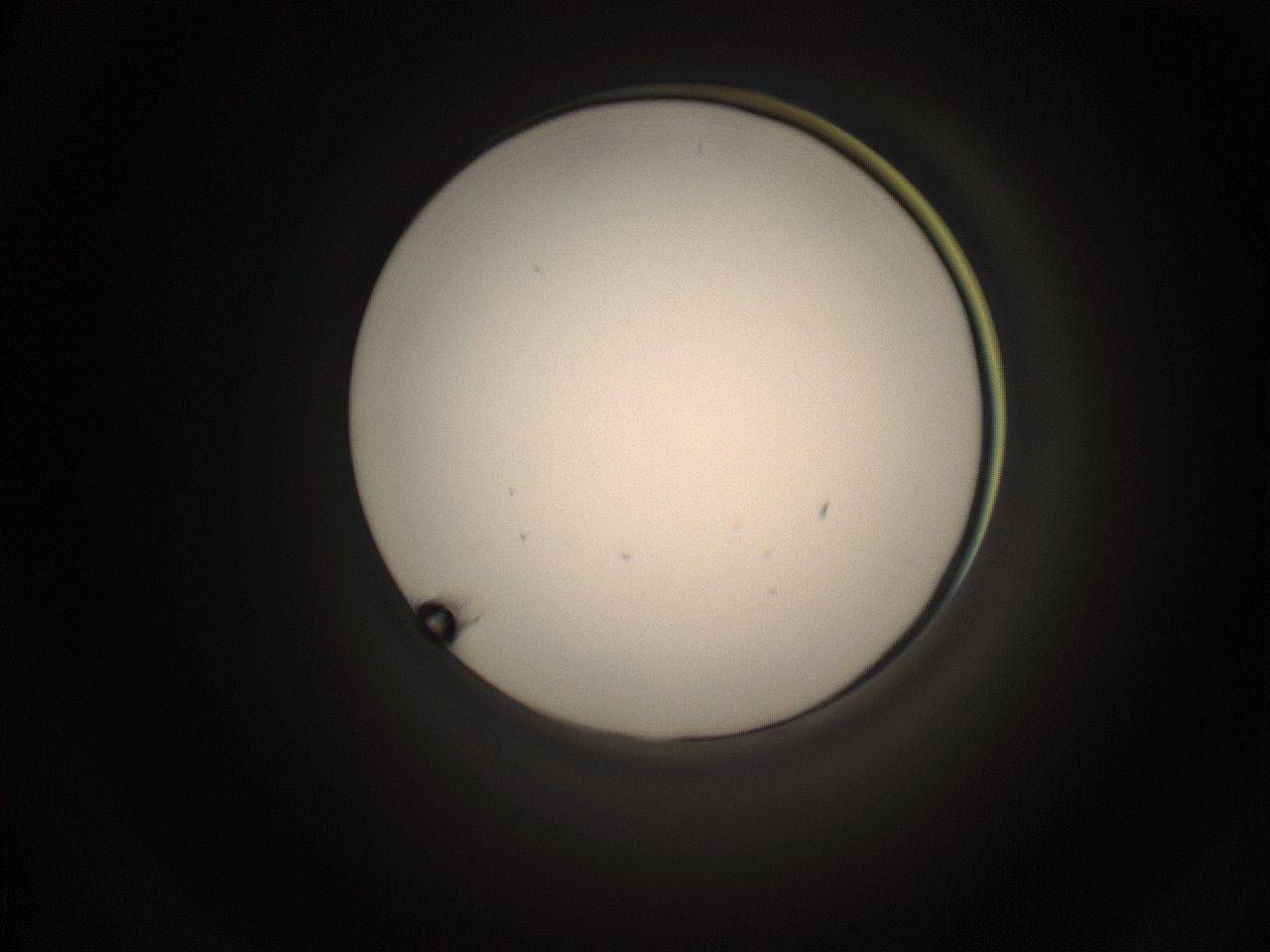05cv_P16_ImagerDefaults_1.jpg