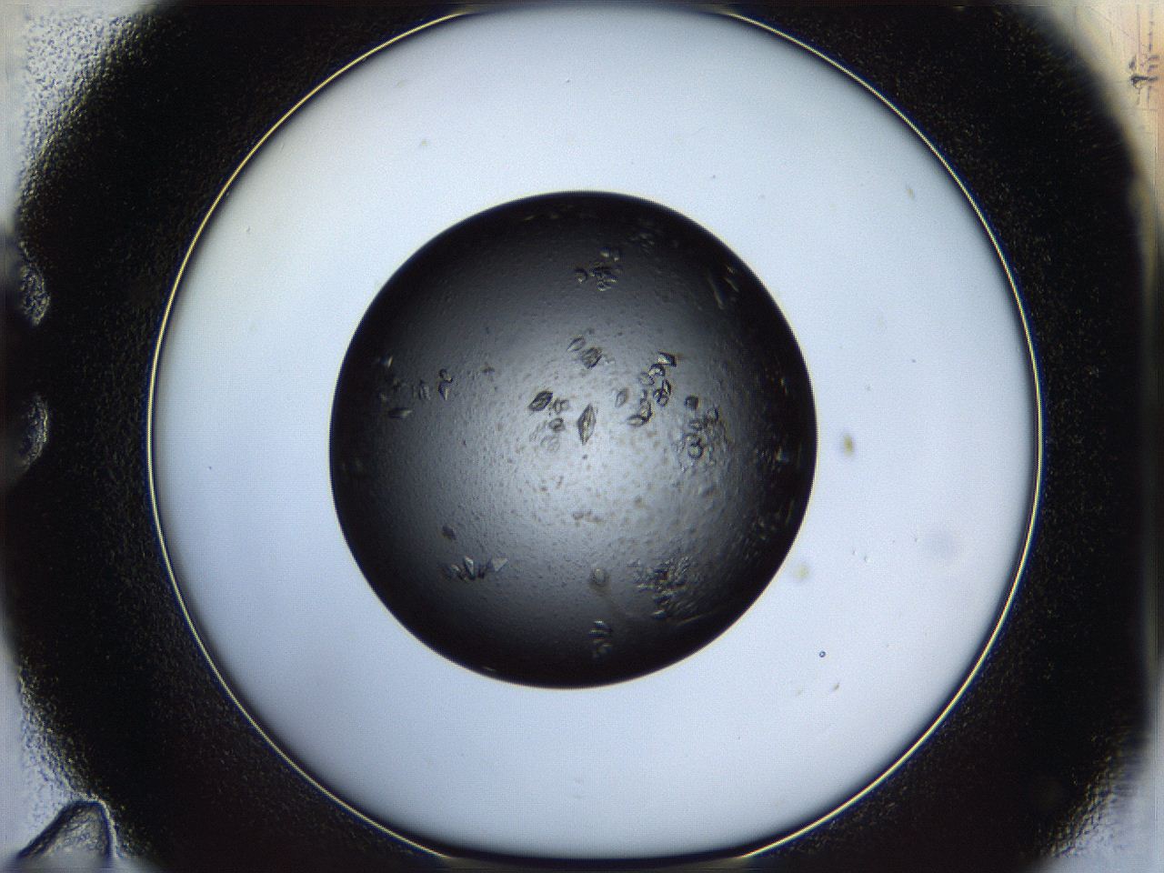 05dk_C11_ImagerDefaults_8.jpg