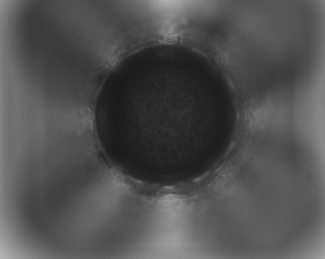 X0000054730467200508171856.png
