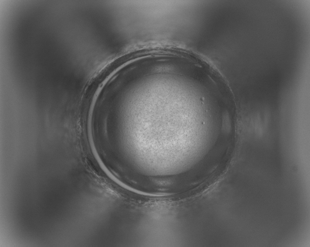 X0000052280778200507132027.png