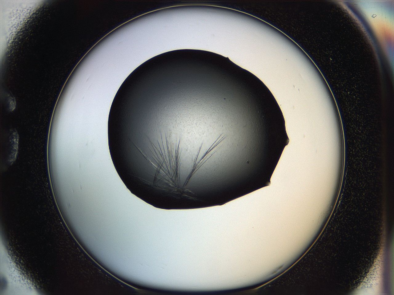 05dk_G5_ImagerDefaults_7.jpg