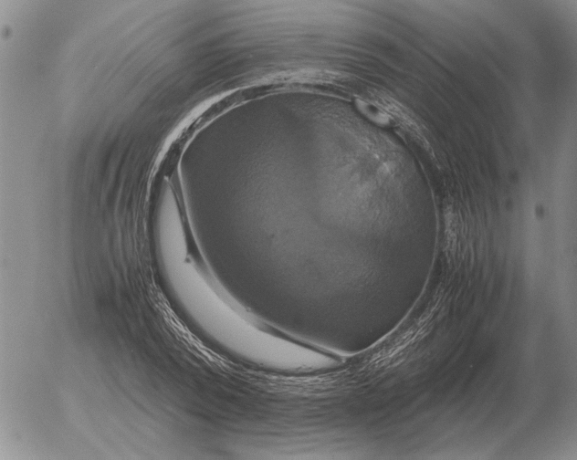 X0000054170784200508101758.png