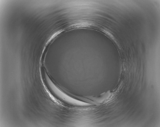 X0000054351034200508190123.png